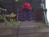 pgl077 pgl077