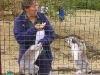 feeding_time_at_the_zoo_2.jpg