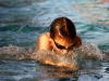 swimming-122_1