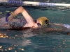 swimming-259_1