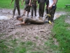 img_5936 img_5936