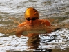 img_1741 img_1741