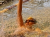 img_1762 img_1762