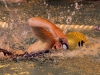 img_2066 img_2066