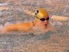 img_2223 img_2223