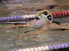 img_2443 img_2443