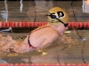 img_2459 img_2459