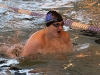img_2591 img_2591