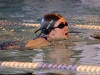 img_3072 img_3072