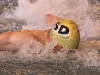 img_3313 img_3313