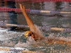 img_3401 img_3401