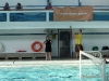 sam_0153-1 sam_0153-1